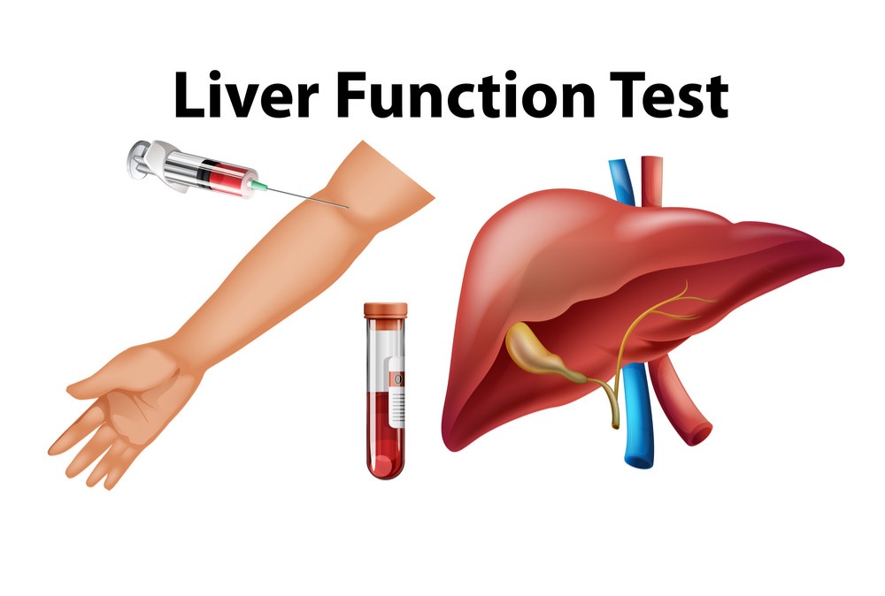  Liver Functions Test 